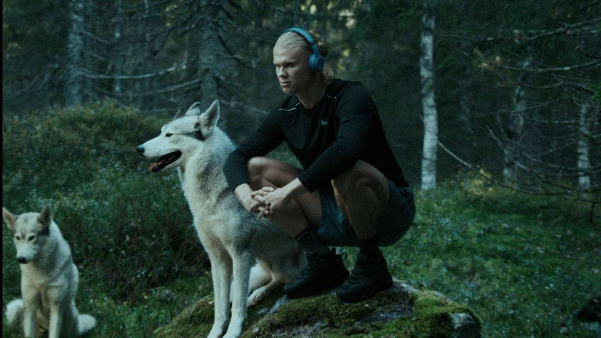 的領獎台積 的領獎台積