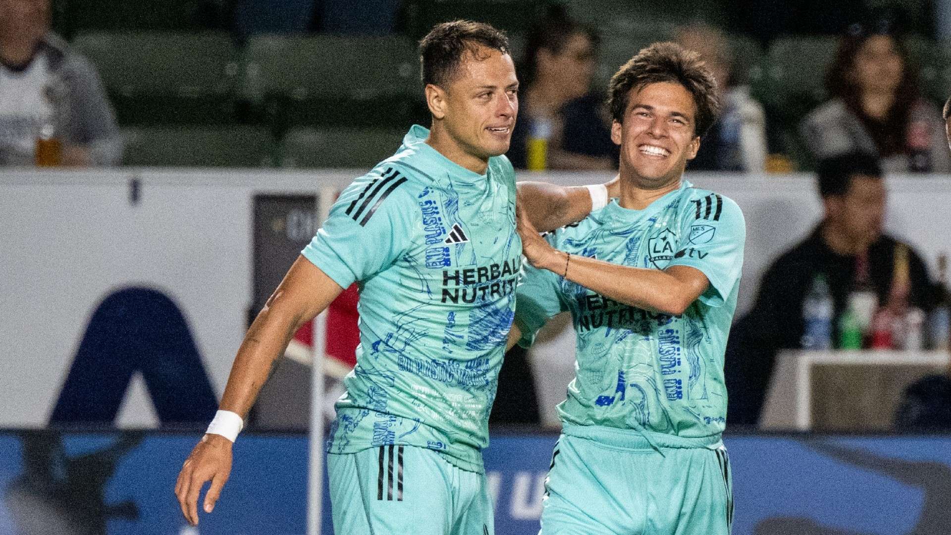 执教才华无 执教才华无