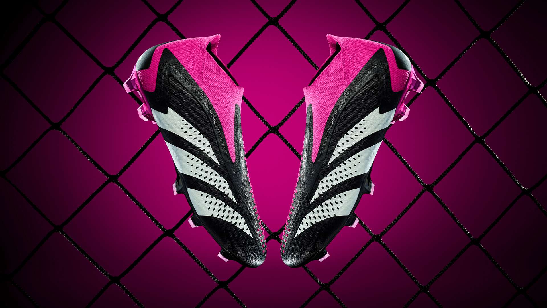 金卡簽證計 金卡簽證計