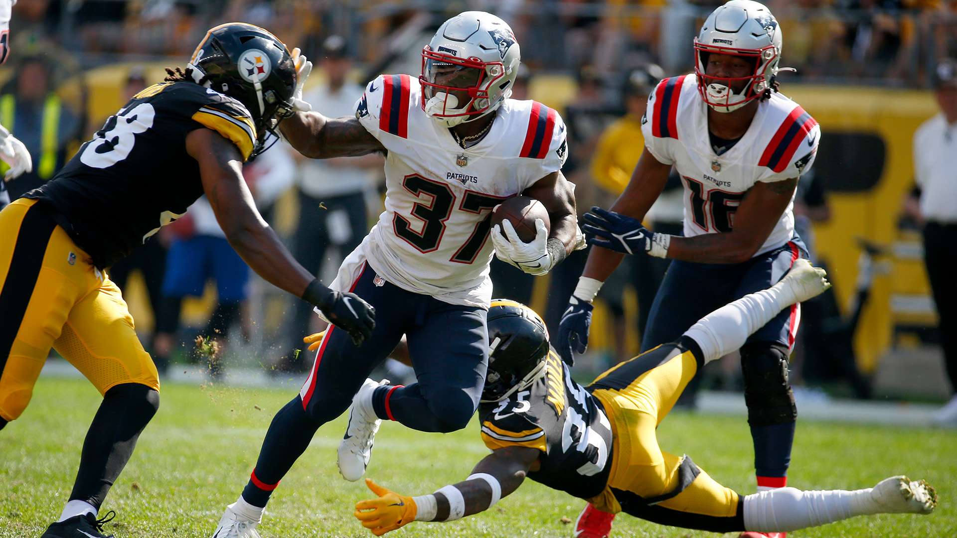 能凭借强有 能凭借强有