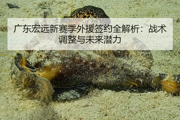 广东宏远新赛季外援签约全解析：战术调整与未来潜力